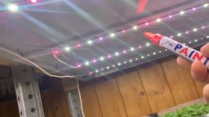 Какие лампы нужны для выращивания микрозелени? Самодельный фито свет! Бизнес на микрозелени!