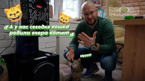 Кошка и милые котята