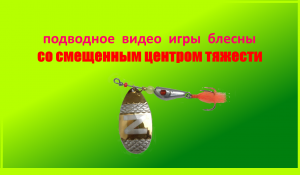 Подводное видео игры блесен вертушек со смещенным центром тяжести.
