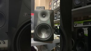 Loa monitor Mackie MR824