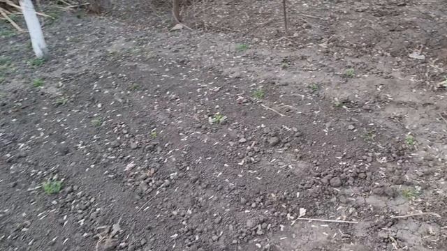 Моя помощница-копательница) Сад и огород смотреть онлайн