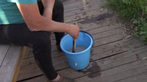 Обрабатываю лук и чеснок от пероноспороза.