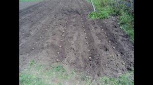 Культиватор ручной "Подручный"