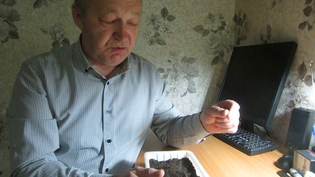 Осенний эксперимент по укоренению черной смородины в квартирных условиях смотреть онлайн