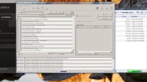How to run Stalker: GAMMA 0.9 on Arch Linux