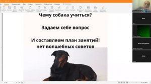 Как отучить собаку тянуть/рваться к собакам/не слушаться. Самые важные правила!