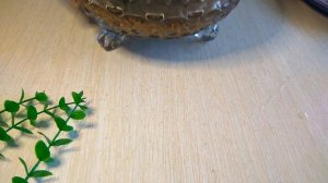 Рассыпчатая гречневая каша без варки ∙ ПП завтрак за 5 минут