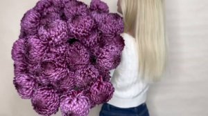 "Бигуди" новый сорт хризантем!