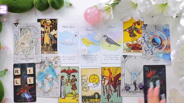 Ever Wonder Who Is Into You?→Find out Now.✨(timeless) PICK A CARD ☀︎ Love Tarot Reading♥️??