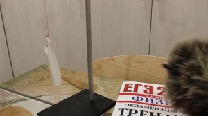 Физика 8 кл(2019г)Пер §25 Упр 18 № 2 . На шелковой нити висит заряженная бумажная гильза.Предложите