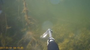 Подводная охота. Краснодарский край. 27.07.2018. Водоем Кияшкин лиман.