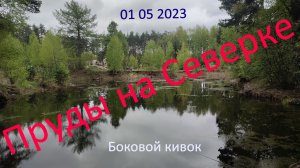 Видеоминутка.  Пруды на "Северке". 01.05.2023.