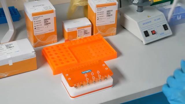 Мастер-класс по секвенированию генома прокариот. набор illumina DNA Prep на платформе MiSeq