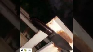 Охотничий нож "Ёрш" из кованной алмазной стали хв5. Видео отзыв из Кувейта!