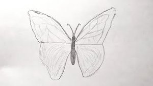 Как легко и быстро нарисовать БАБОЧКУ обычным простым карандашом всего за 5 минут/Урок по рисованию