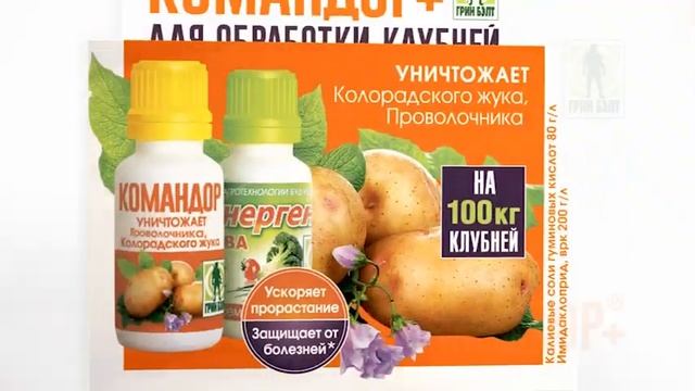 Kомандор+ (Командор плюс)