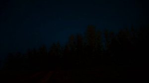 Звук цикад / Шум цикад / Звуки для сна / Sound of cicadas/ Noise of cicadas / White Noise Soundscap