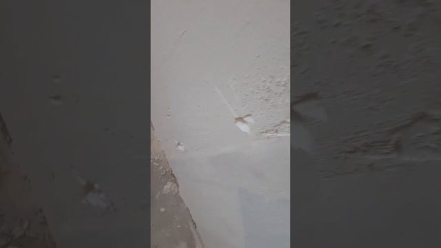 Гипсовая штукатурка. Слой на слой. Как оштукатурить оштукатуренную стену гипсовой штукатуркой. смотреть онлайн