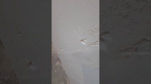 Гипсовая штукатурка. Слой на слой. Как оштукатурить оштукатуренную стену гипсовой штукатуркой.