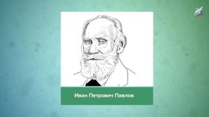 Бодрствование и сон