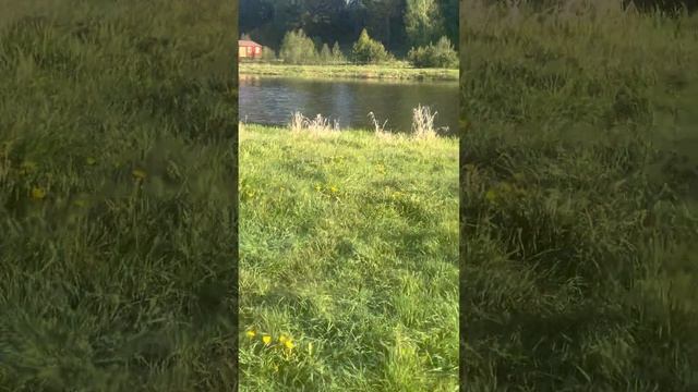 Место, куда мы будем выезжать ходить по углям смотреть онлайн