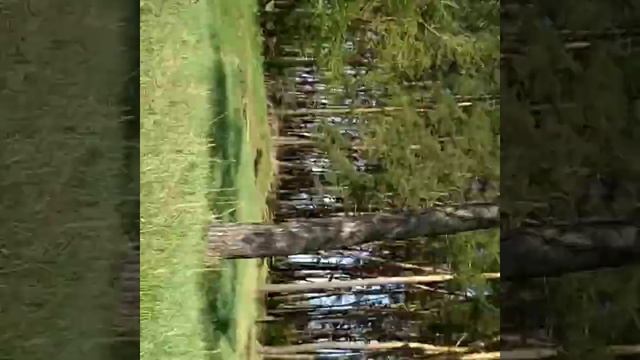 VLOG: Ездим на Днепре. смотреть онлайн