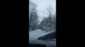 Цепи противоскольжения в снегу - ПАНАЦЕЯ