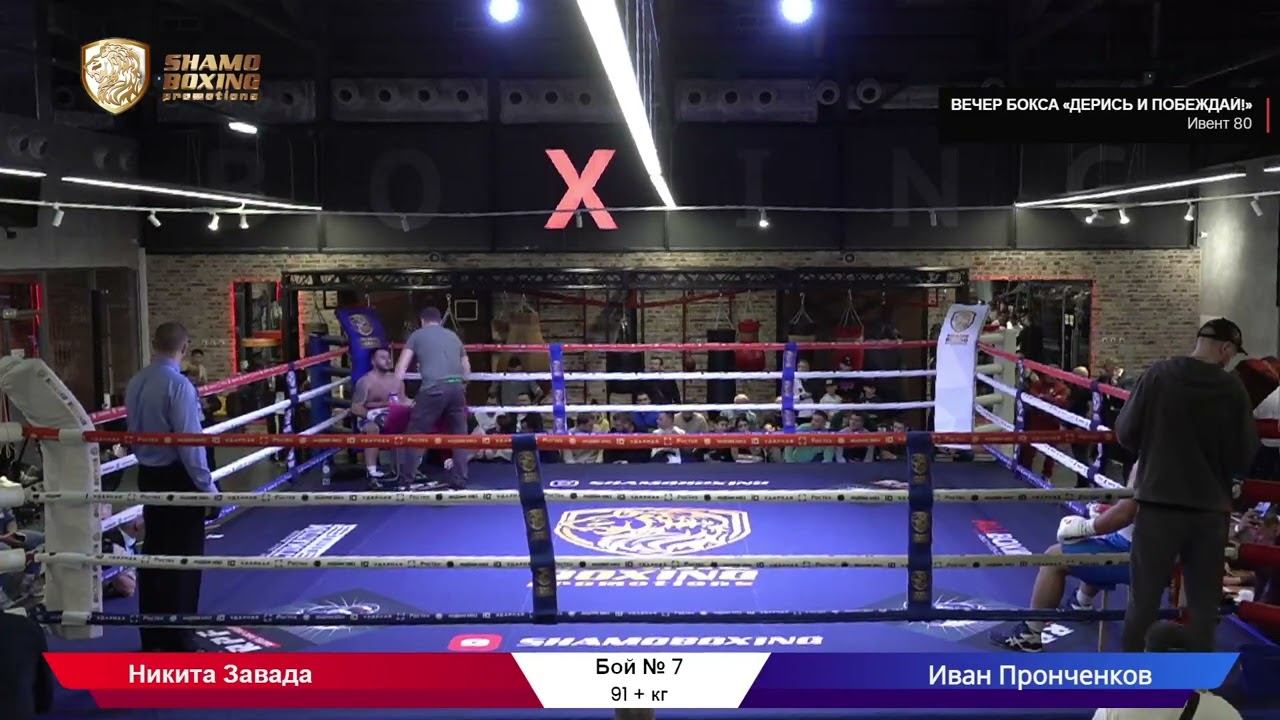 Shamo Boxing бокс 04 09 2020