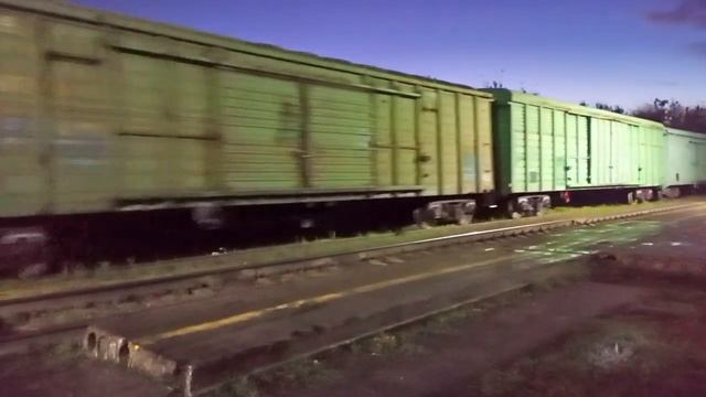 Грузовой поезд . Станция Сельмаш 2 путь. #ржд #железнаядорога #поезд #тепловоз