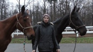 Лошади школы верховой езды Гармония. Прима и Фифа)