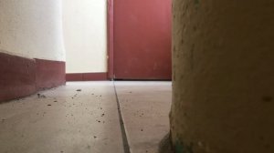 ПРАНК НАД ДЕВУШКОЙ / ОНА ОБИДЕЛАСЬ.