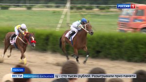 На нальчикском ипподроме прошли соревнования по конному спорту