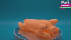 PU3026Y Игрушка для собак Pet Universe визжащий поросёнок со звуком с пищалкой 12,5х8 см