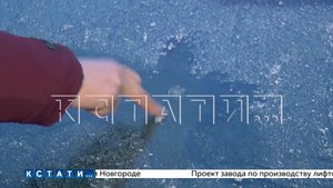За парковку не в том месте, неизвестный расстреливает автомобили в Нижегородском районе