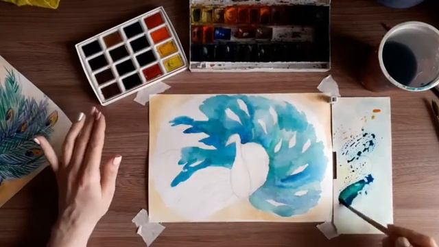 Как нарисовать павлина. 2 этап смотреть онлайн