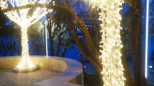 КРАСНОДАР?НОЧЬ БРОЖУ ПО ПАРКУ ?ЧТО Я ТАМ УВИДЕЛА❓  ДМИТРИЕВСКИЙ СКВЕР⭐ СТАРЫЙ ЦЕНТР КРАСНОДАРА⭐