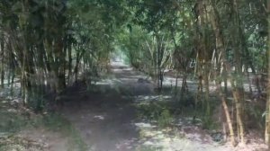 Природа Вьетнама?