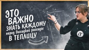 ТОМАТЫ в ТЕПЛИЦЕ. РАСПОЛОЖИТЕ ИХ ТАК! Семена Алтая