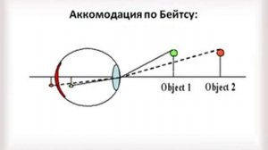 Как улучшить зрение по методу Бейтса