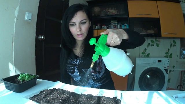 Как избавится от комнатных мошек в цветах.Мошек в горшках с цветами больше не будет смотреть онлайн