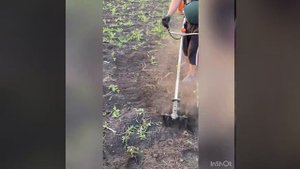 Насадка на триммер Варяг!!!!