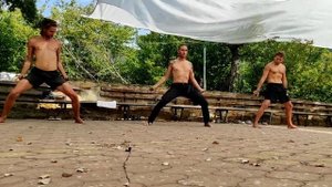 Дмитрий Лапшинов Кремень укрепление сухожилий