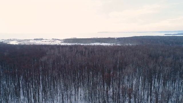 Зимний лес. Winter Ambience. Аэросъемка смотреть онлайн