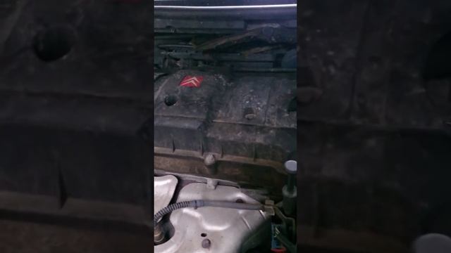 Citroen C4 16V petrol 2005 engine noise смотреть онлайн