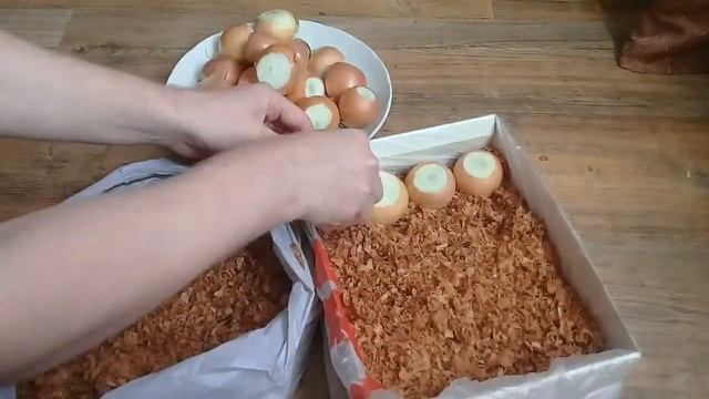 Лук на перо.Выращивание смотреть онлайн