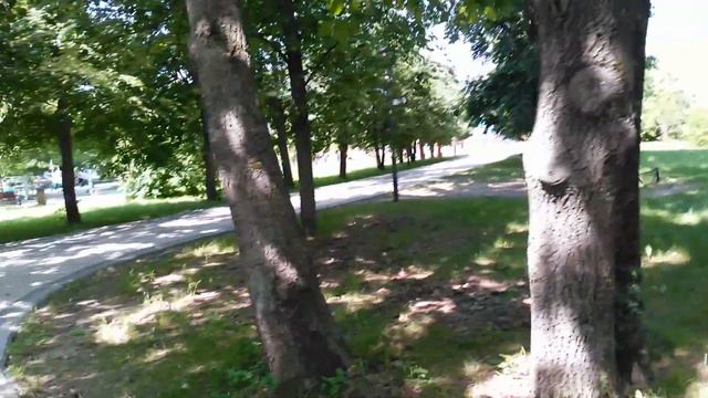 Москва, трехсотлетний дуб в парке Яуза, прогулка в Леоновском парке, липовые аллеи.
