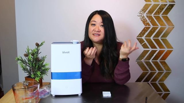 Levoit Cool Mist Humidifier | Honest Mom Product Review смотреть онлайн