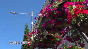 На улицах столицы 63-го региона появились вазоны с туями