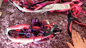 Вся амуниция моей собаки // Амуниция для йоркширского терьера