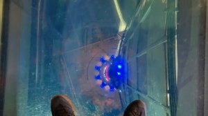 Экскурсия по Останкинской телебашне 2023